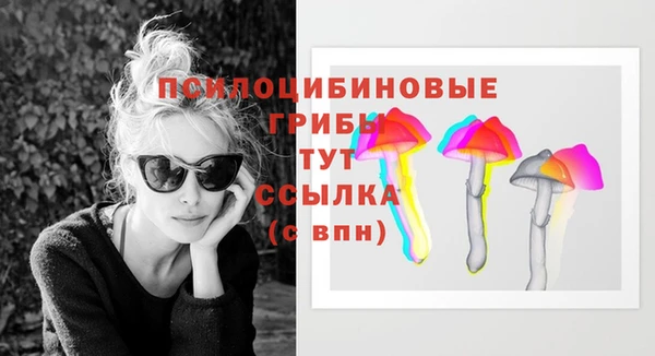 молекула духа Армянск