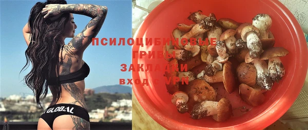 молекула духа Армянск