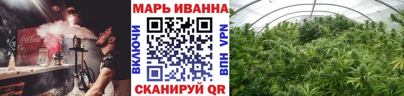 Бошки марихуана Amnesia  Купить где  Химки 
